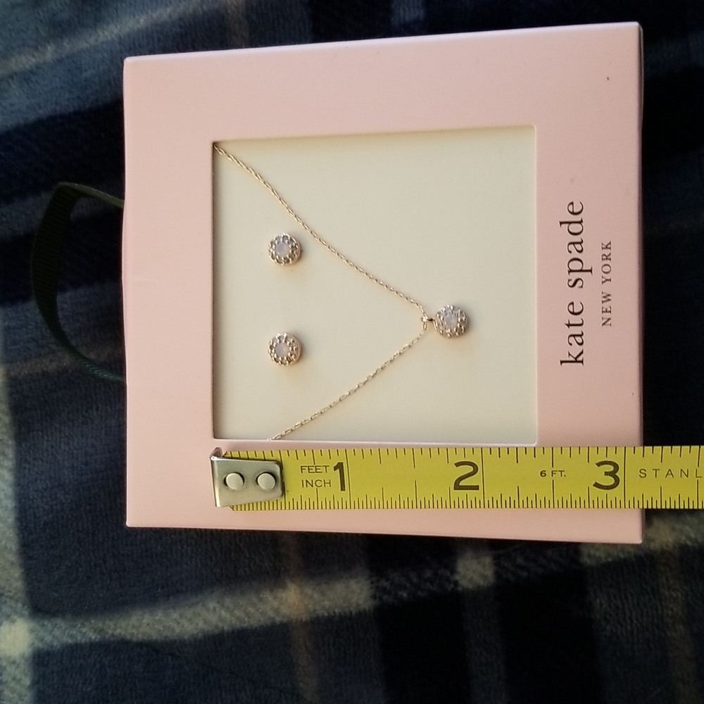 Kate Spade Something Sparkly Pave Earrings and Necklace Set - Picture 12 of 12